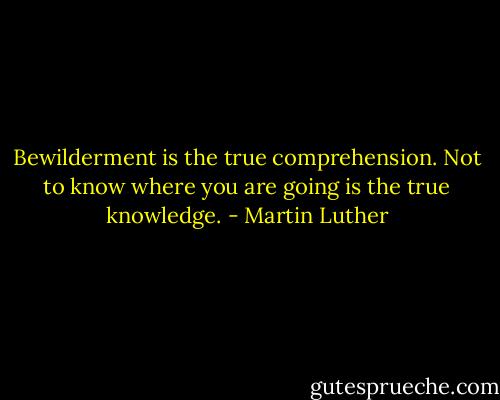 Bewilderment is the true comprehension. Not to know where you are going is the true knowledge. - Martin Luther