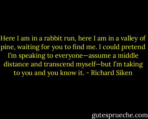 Here I am in a rabbit run, here I am in a valley of pine, waiting for you to find me. I could pretend I’m speaking to everyone—assume a middle distance and transcend myself—but I’m taking to you and you know it. - Richard Siken