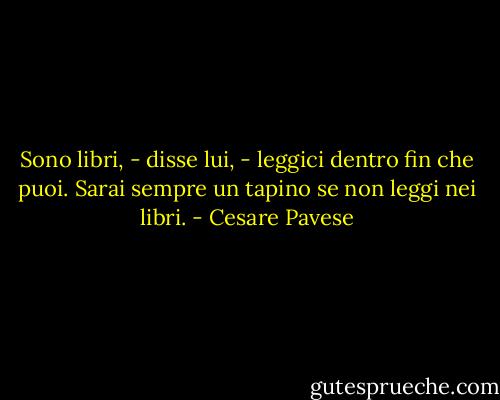 Sono libri, - disse lui, - leggici dentro fin che puoi. Sarai sempre un tapino se non leggi nei libri. - Cesare Pavese