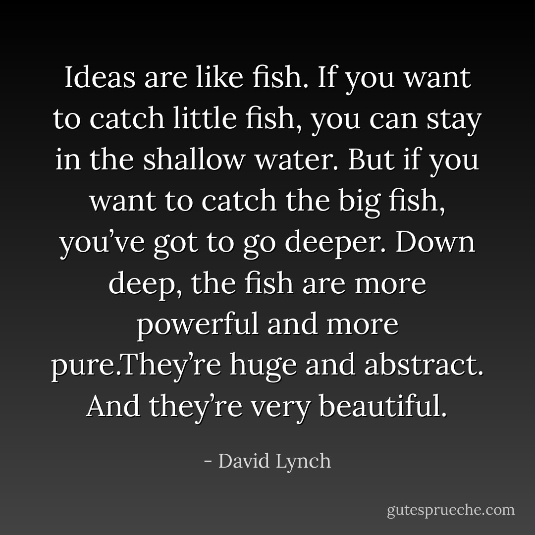 Ideas are like fish. If you want to catch little fish, you can stay in the shallow water. But if you want to catch the big fish, you’ve got to go deeper. Down deep, the fish are more powerful and more pure.They’re huge and abstract. And they’re very beautiful. - David Lynch