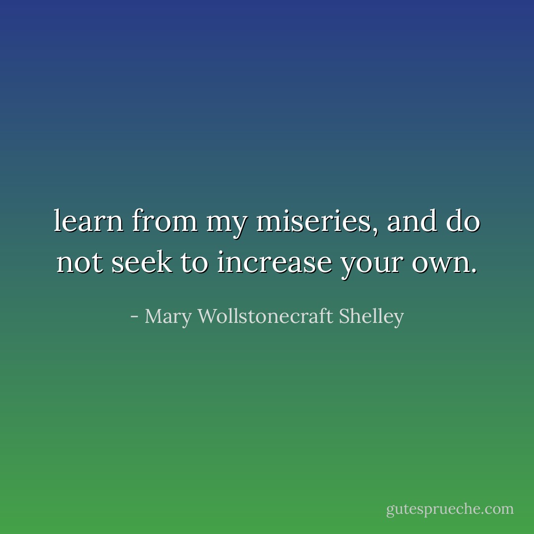 learn from my miseries, and do not seek to increase your own. - Mary Wollstonecraft Shelley