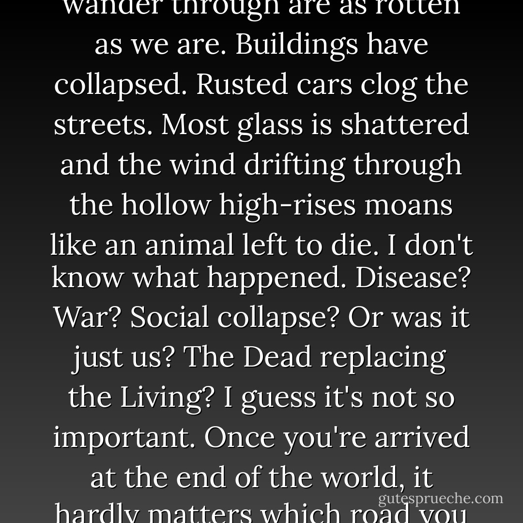 I think the world has mostly ended because the cities we wander through are as rotten as we are. Buildings have collapsed. Rusted cars clog the streets. Most glass is shattered and the wind drifting through the hollow high-rises moans like an animal left to die. I don't know what happened. Disease? War? Social collapse? Or was it just us? The Dead replacing the Living? I guess it's not so important. Once you're arrived at the end of the world, it hardly matters which road you took. - Isaac Marion