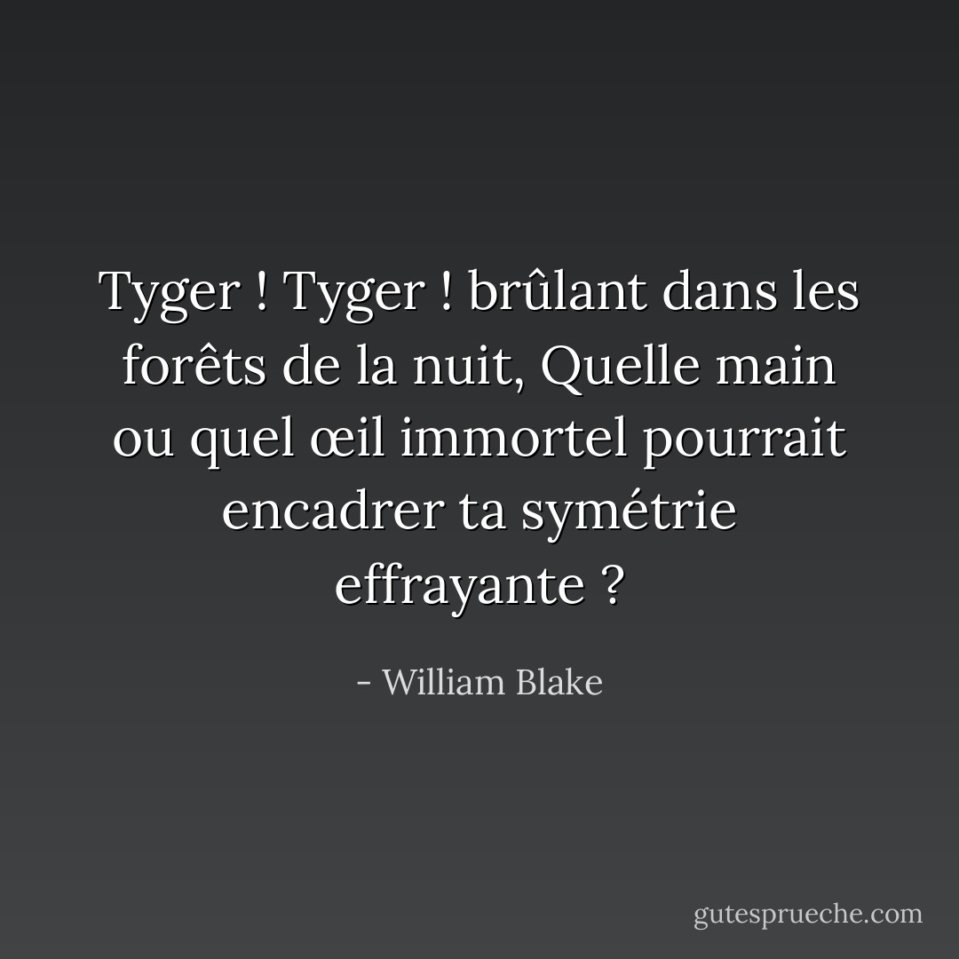 Tyger ! Tyger ! brûlant dans les forêts de la nuit, Quelle main ou quel œil immortel pourrait encadrer ta symétrie effrayante ? - William Blake