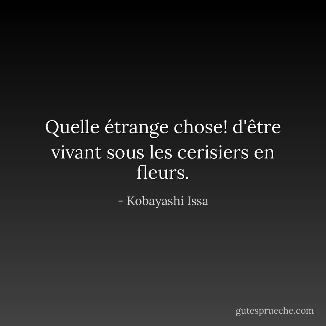 Quelle étrange chose!<br />d'être vivant<br />sous les cerisiers en fleurs. - Kobayashi Issa