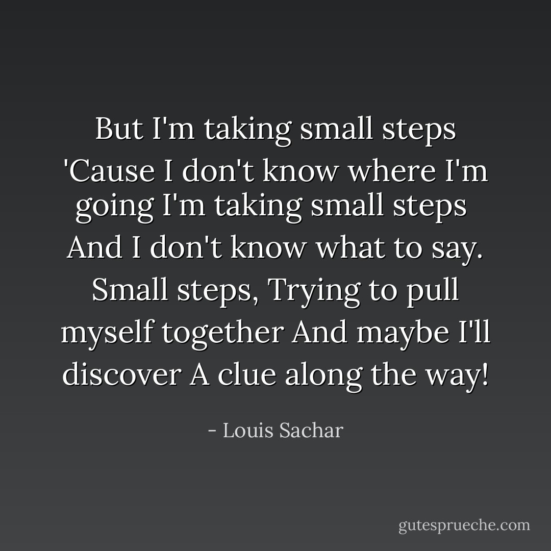 But I'm taking small steps<br />'Cause I don't know where I'm going<br />I'm taking small steps <br />And I don't know what to say.<br />Small steps,<br />Trying to pull myself together<br />And maybe I'll discover<br />A clue along the way! - Louis Sachar