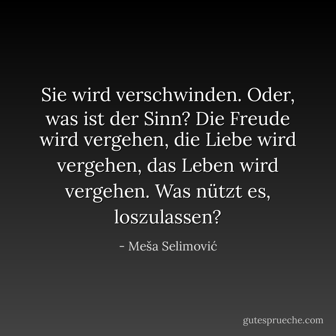 Sie wird verschwinden. Oder, was ist der Sinn? Die Freude wird vergehen, die Liebe wird vergehen, das Leben wird vergehen. Was nützt es, loszulassen? - Meša Selimović<