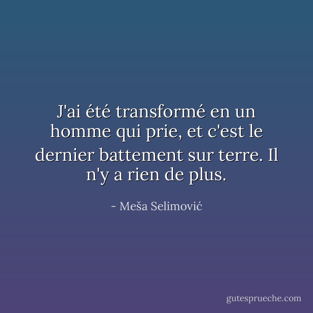 J'ai été transformé en un homme qui prie, et c'est le dernier battement sur terre. Il n'y a rien de plus. - Meša Selimović