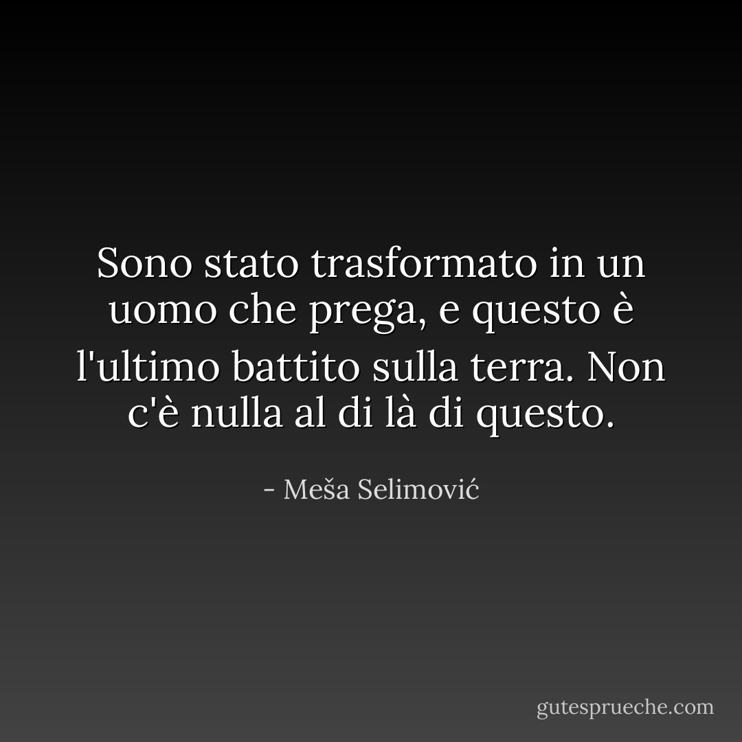 Sono stato trasformato in un uomo che prega, e questo è l'ultimo battito sulla terra. Non c'è nulla al di là di questo. - Meša Selimović