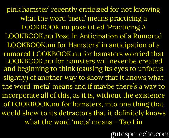 pink hamster’ recently criticized for not knowing what the word ‘meta’ means practicing a LOOKBOOK.nu pose titled ‘Practicing A LOOKBOOK.nu Pose In Anticipation of a Rumored LOOKBOOK.nu for Hamsters’ in anticipation of a rumored LOOKBOOK.nu for hamsters worried that LOOKBOOK.nu for hamsters will never be created and beginning to think (causing its eyes to unfocus slightly) of another way to show that it knows what the word ‘meta’ means and if maybe there’s a way to incorporate all of this, as it is, without the existence of LOOKBOOK.nu for hamsters, into one thing that would show to its detractors that it definitely knows what the word ‘meta’ means - Tao Lin