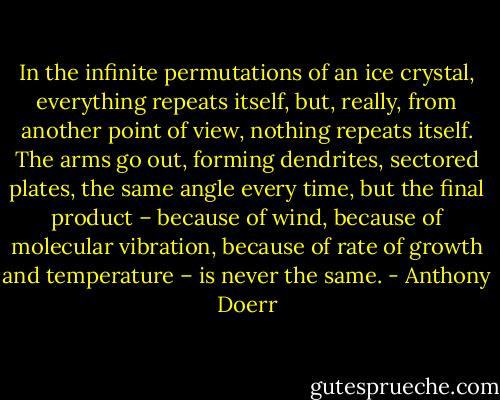In the infinite permutations of an ice crystal, everything repeats itself, but, really, from another point of view, nothing repeats itself. The arms go out, forming dendrites, sectored plates, the same angle every time, but the final product – because of wind, because of molecular vibration, because of rate of growth and temperature – is never the same. - Anthony Doerr