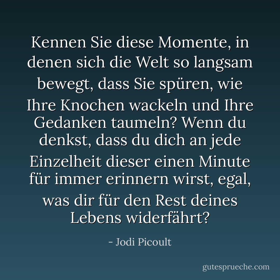 Kennen Sie diese Momente, in denen sich die Welt so langsam bewegt, dass Sie spüren, wie Ihre Knochen wackeln und Ihre Gedanken taumeln? Wenn du denkst, dass du dich an jede Einzelheit dieser einen Minute für immer erinnern wirst, egal, was dir für den Rest deines Lebens widerfährt? - Jodi Picoult<