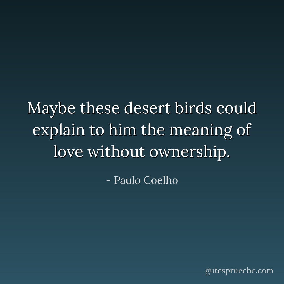 Maybe these desert birds could explain to him the meaning of love without ownership. - Paulo Coelho