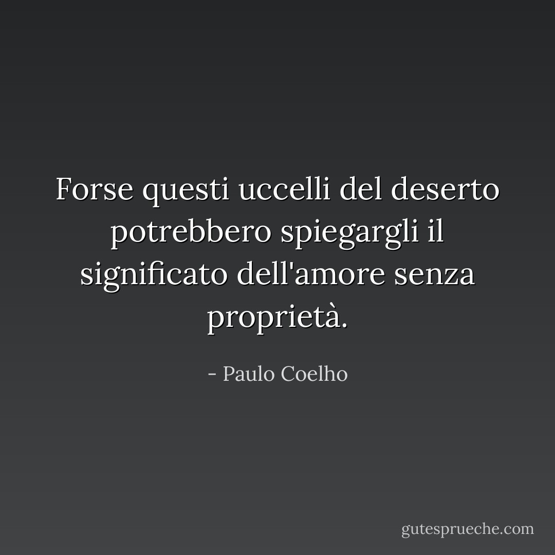 Forse questi uccelli del deserto potrebbero spiegargli il significato dell'amore senza proprietà. - Paulo Coelho