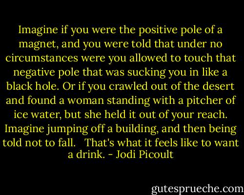 Imagine if you were the positive pole of a magnet, and you were told that under no circumstances were you allowed to touch that negative pole that was sucking you in like a black hole. Or if you crawled out of the desert and found a woman standing with a pitcher of ice water, but she held it out of your reach. Imagine jumping off a building, and then being told not to fall.<br /> <br />That's what it feels like to want a drink. - Jodi Picoult