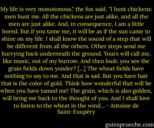 My life is very monotonous," the fox said. "I hunt chickens: men hunt me. All the chickens are just alike, and all the men are just alike. And, in consequence, I am a little bored. But if you tame me, it will be as if the sun came to shine on my life. I shall know the sound of a step that will be different from all the others. Other steps send me hurrying back underneath the ground. Yours will call me, like music, out of my burrow. And then look: you see the grain fields down yonder? [...] The wheat fields have nothing to say to me. And that is sad. But you have hair that is the color of gold. Think how wonderful that will be when you have tamed me! The grain, which is also golden, will bring me back to the thought of you. And I shall love to listen to the wheat in the wind... - Antoine de Saint-Exupéry