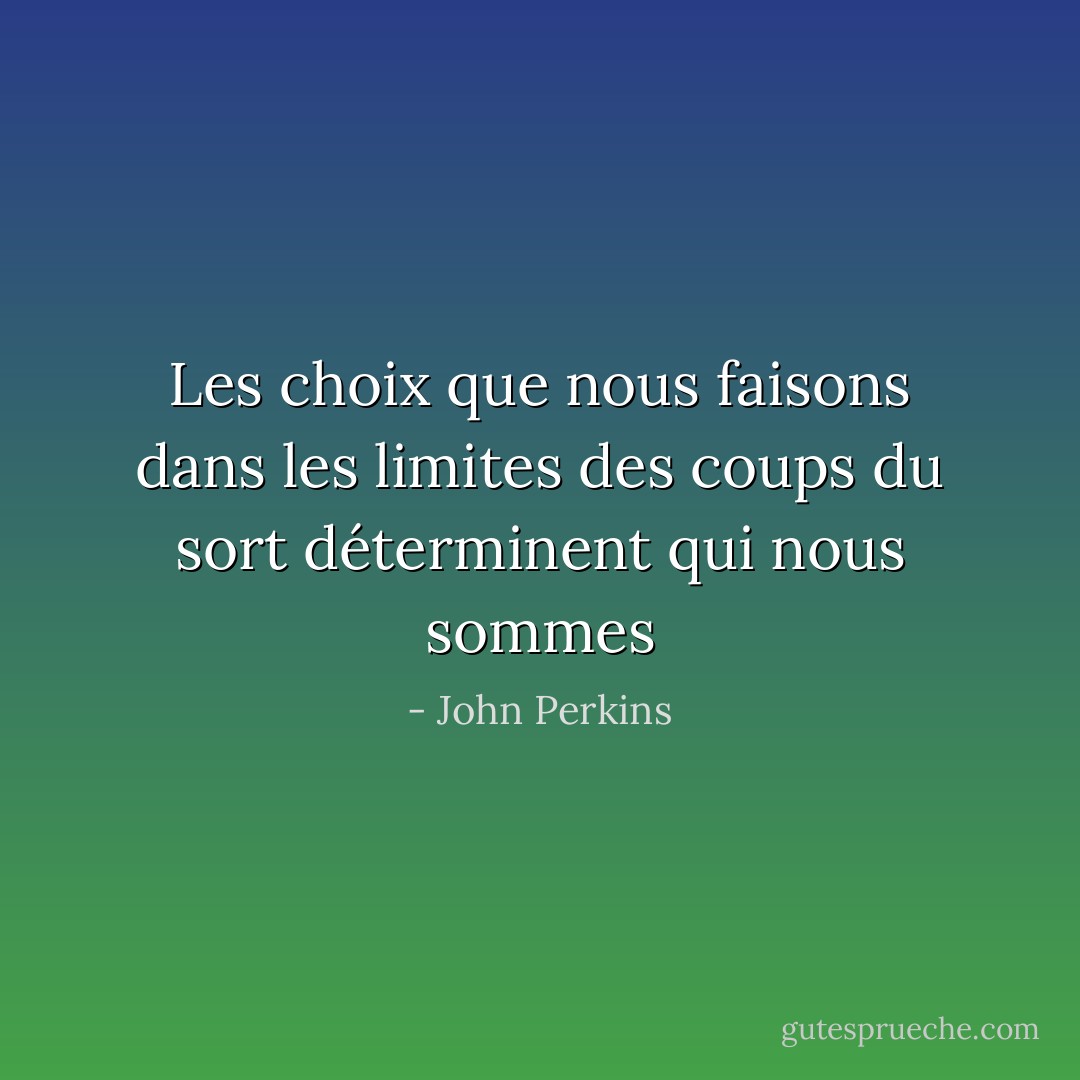 Les choix que nous faisons dans les limites des coups du sort déterminent qui nous sommes - John Perkins