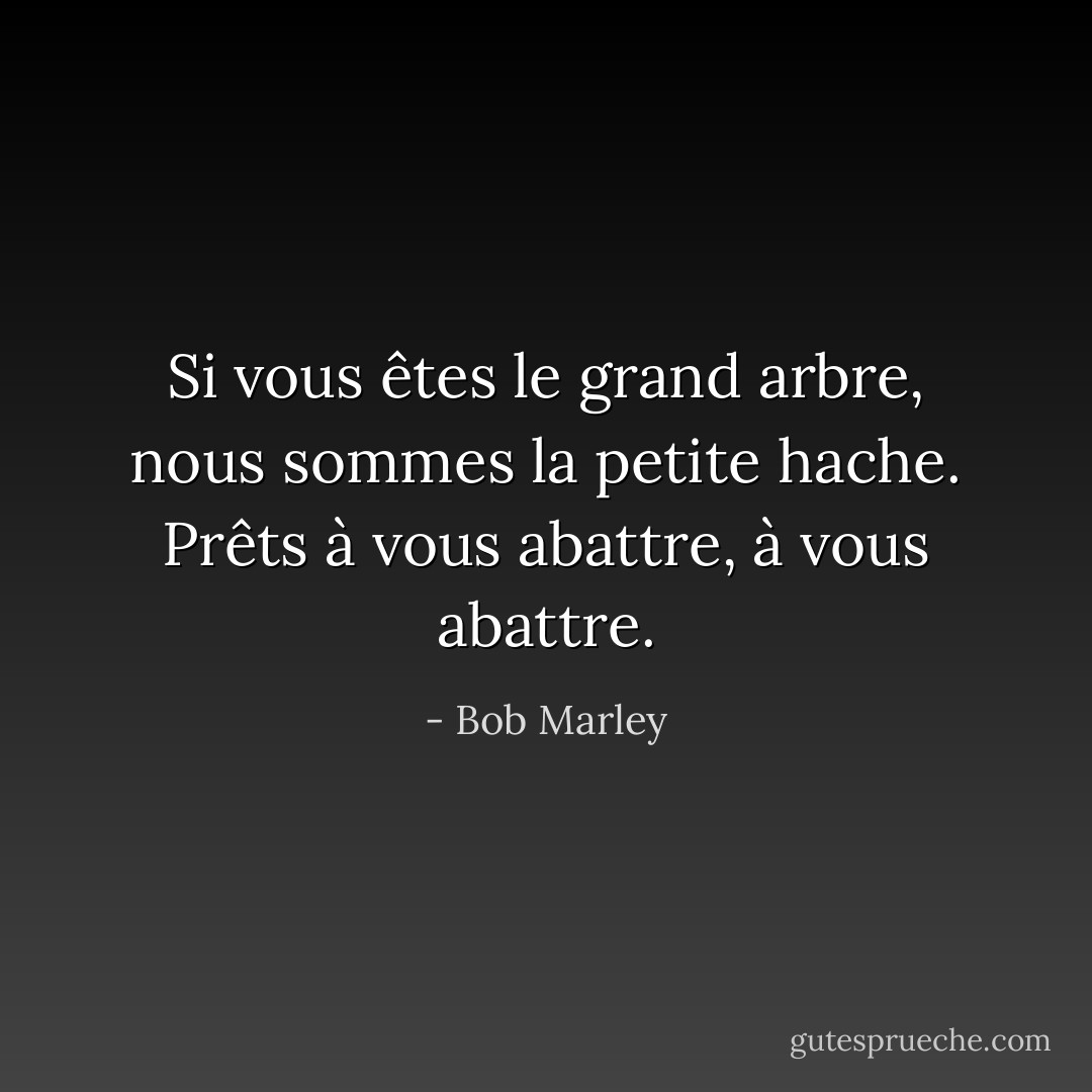 Si vous êtes le grand arbre, nous sommes la petite hache. Prêts à vous abattre, à vous abattre. - Bob Marley