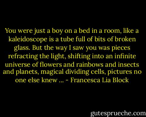 You were just a boy on a bed in a room, like a kaleidoscope is a tube full of bits of broken glass. But the way I saw you was pieces refracting the light, shifting into an infinite universe of flowers and rainbows and insects and planets, magical dividing cells, pictures no one else knew ... - Francesca Lia Block