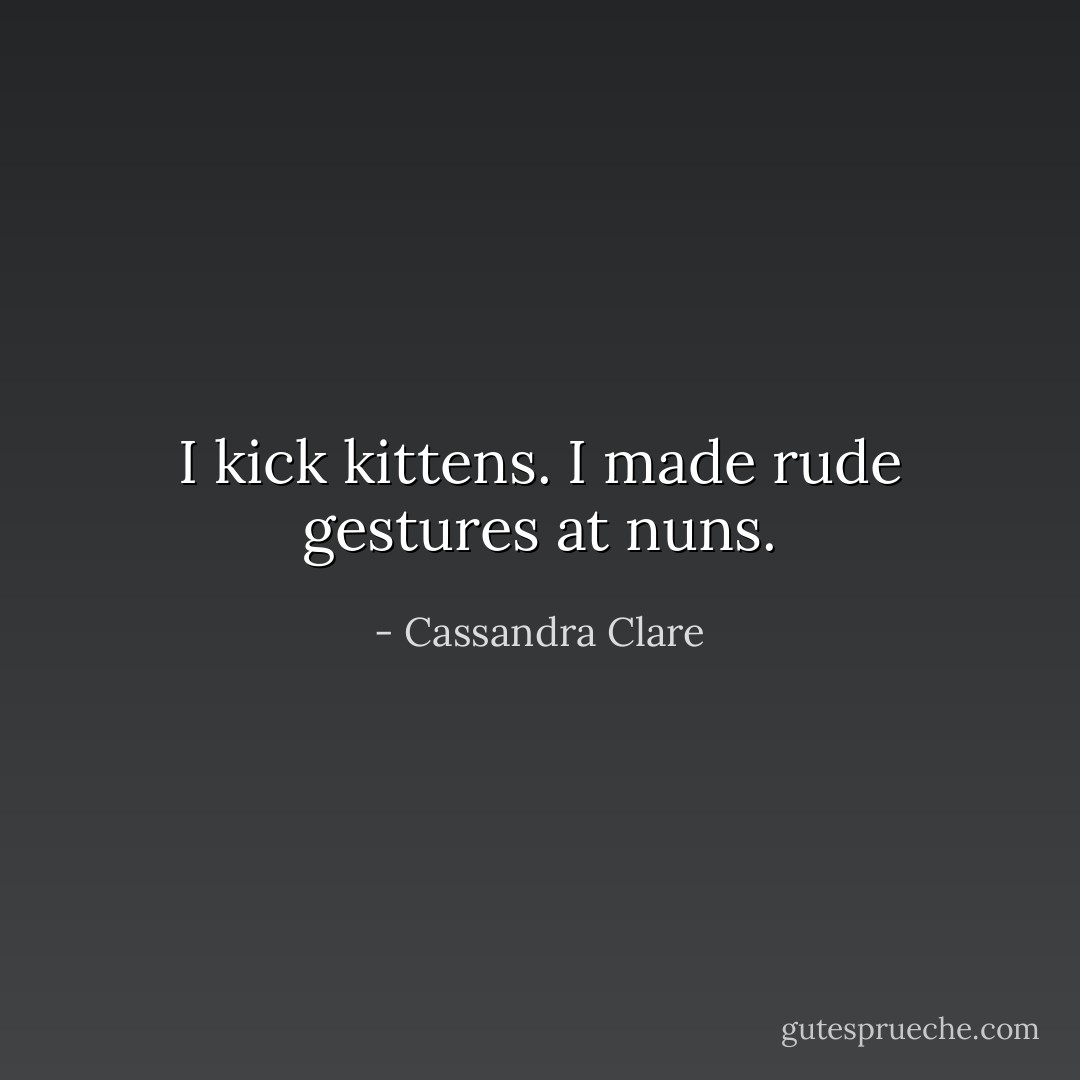 I kick kittens. I made rude gestures at nuns. - Cassandra Clare
