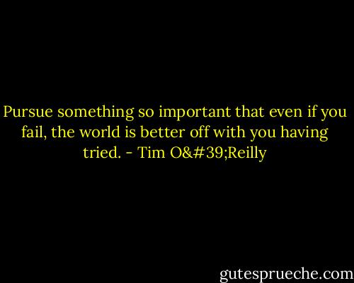 Pursue something so important that even if you fail, the world is better off with you having tried. - Tim O'Reilly