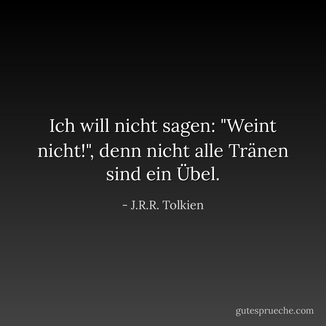 Ich will nicht sagen: "Weint nicht!", denn nicht alle Tränen sind ein Übel. - J.R.R. Tolkien<