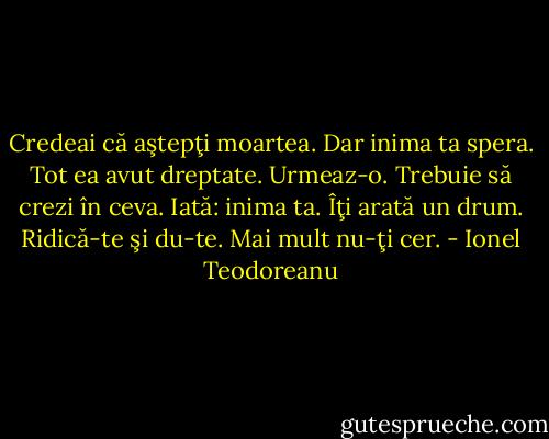 Credeai că aştepţi moartea. Dar inima ta spera. Tot ea avut dreptate. Urmeaz-o. Trebuie să crezi în ceva. Iată: inima ta. Îţi arată un drum. Ridică-te şi du-te. Mai mult nu-ţi cer. - Ionel Teodoreanu