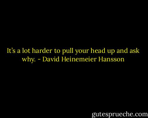 It’s a lot harder to pull your head up and ask why. - David Heinemeier Hansson