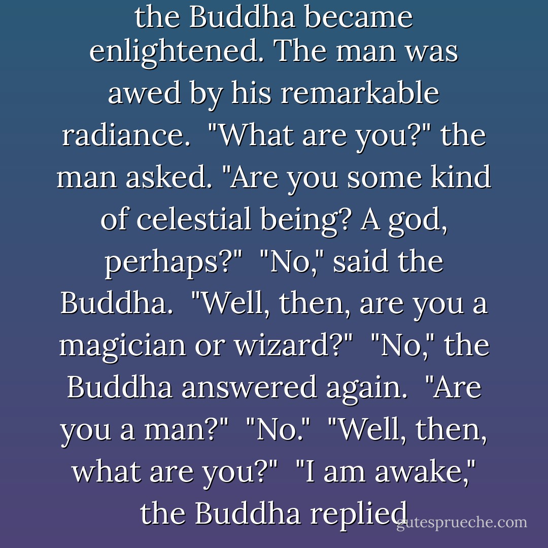 A man met the Buddha after the Buddha became enlightened. The man was awed by his remarkable radiance. <br />"What are you?" the man asked. "Are you some kind of celestial being? A god, perhaps?" <br />"No," said the Buddha. <br />"Well, then, are you a magician or wizard?" <br />"No," the Buddha answered again. <br />"Are you a man?" <br />"No." <br />"Well, then, what are you?" <br />"I am awake," the Buddha replied - Linda Leaming