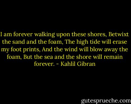 I am forever walking upon these shores,<br />Betwixt the sand and the foam,<br />The high tide will erase my foot prints,<br />And the wind will blow away the foam,<br />But the sea and the shore will remain forever. - Kahlil Gibran