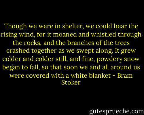 Though we were in shelter, we could hear the rising wind, for it moaned and whistled through the rocks, and the branches of the trees crashed together as we swept along. It grew colder and colder still, and fine, powdery snow began to fall, so that soon we and all around us were covered with a white blanket - Bram Stoker