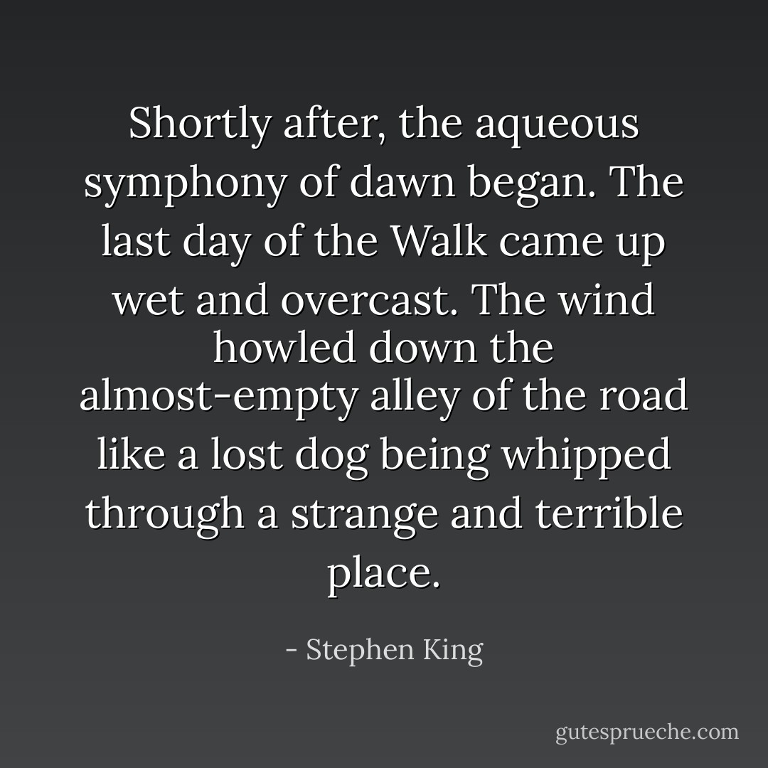Shortly after, the aqueous symphony of dawn began. The last day of the Walk came up wet and overcast. The wind howled down the almost-empty alley of the road like a lost dog being whipped through a strange and terrible place. - Stephen King