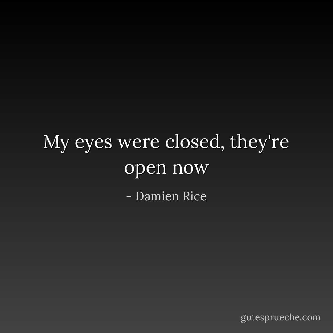 My eyes were closed, they're open now - Damien Rice