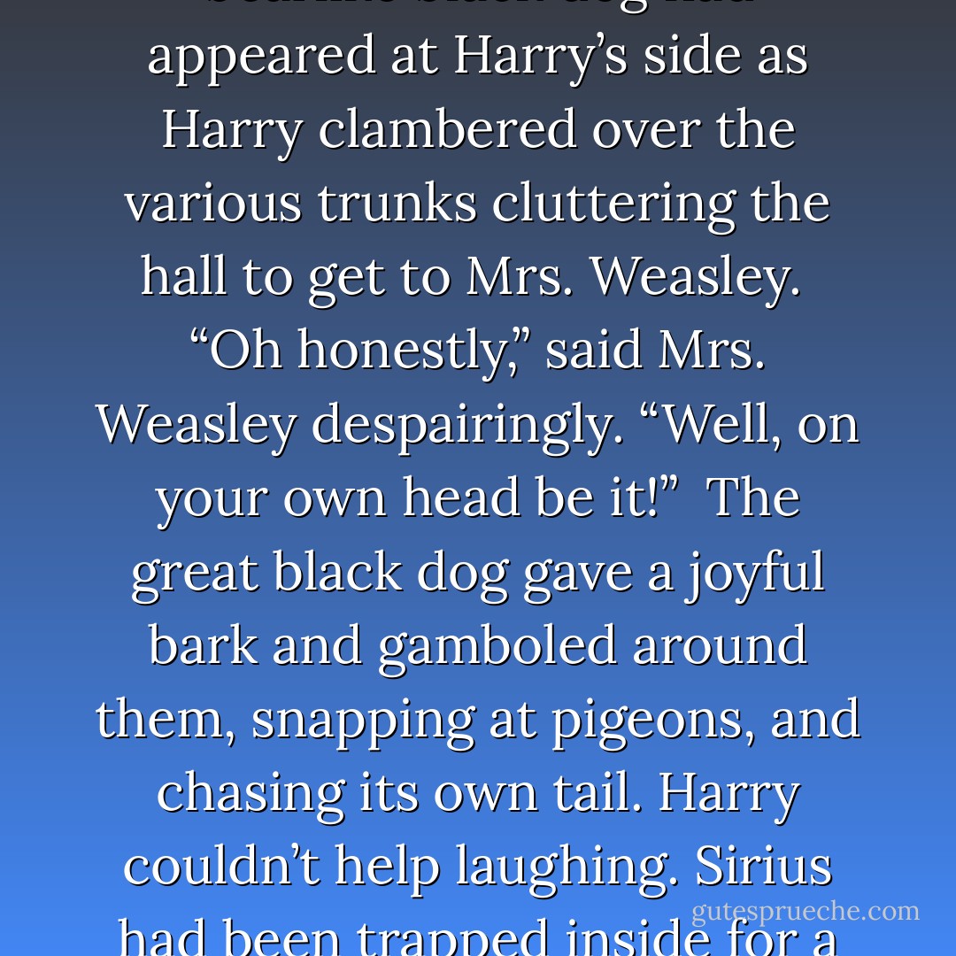 Oh, for heaven’s sake, Sirius, Dumbledore said no!”<br /><br />A bearlike black dog had appeared at Harry’s side as Harry clambered over the various trunks cluttering the hall to get to Mrs. Weasley.<br /><br />“Oh honestly,” said Mrs. Weasley despairingly. “Well, on your own head be it!”<br /><br />The great black dog gave a joyful bark and gamboled around them, snapping at pigeons, and chasing its own tail. Harry couldn’t help laughing. Sirius had been trapped inside for a very long time. - J.K. Rowling