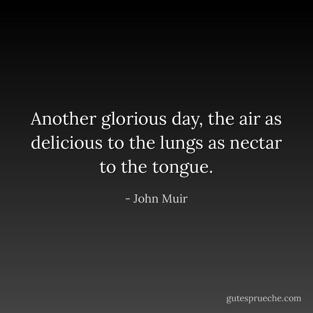 Another glorious day, the air as delicious to the lungs as nectar to the tongue. - John Muir