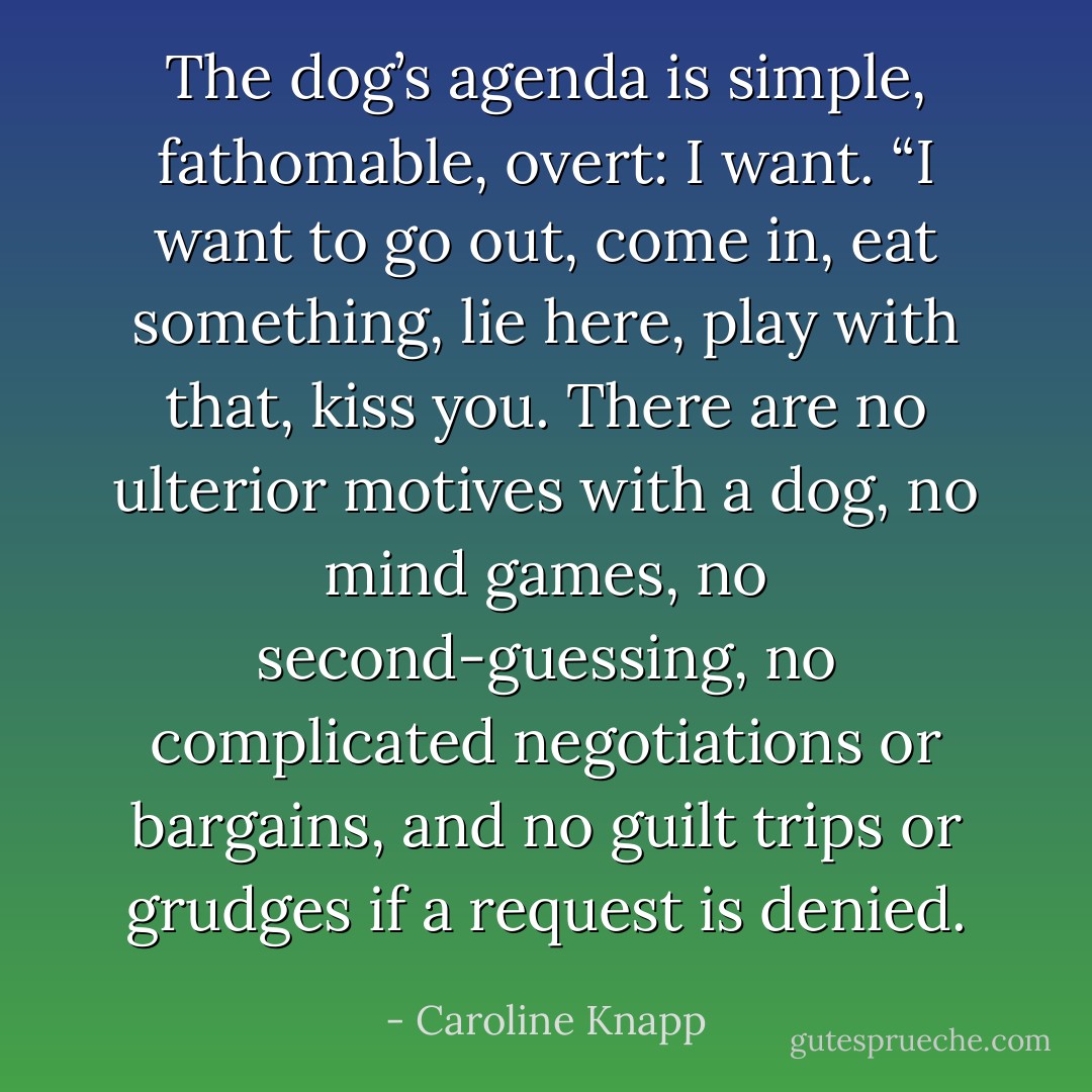 The dog’s agenda is simple, fathomable, overt: I want. “I want to go out, come in, eat something, lie here, play with that, kiss you. There are no ulterior motives with a dog, no mind games, no second-guessing, no complicated negotiations or bargains, and no guilt trips or grudges if a request is denied. - Caroline Knapp