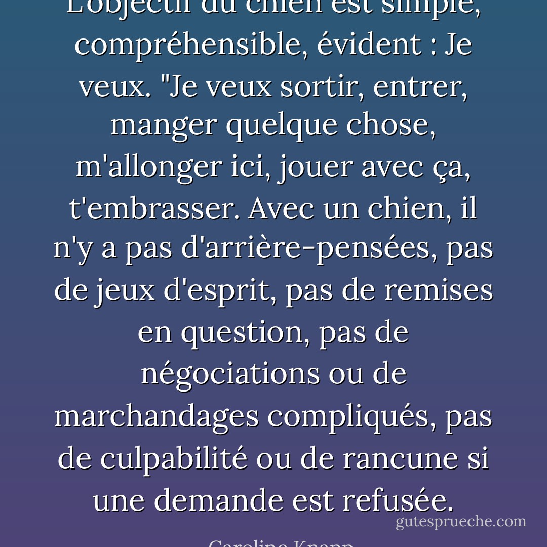 L'objectif du chien est simple, compréhensible, évident : Je veux. "Je veux sortir, entrer, manger quelque chose, m'allonger ici, jouer avec ça, t'embrasser. Avec un chien, il n'y a pas d'arrière-pensées, pas de jeux d'esprit, pas de remises en question, pas de négociations ou de marchandages compliqués, pas de culpabilité ou de rancune si une demande est refusée. - Caroline Knapp
