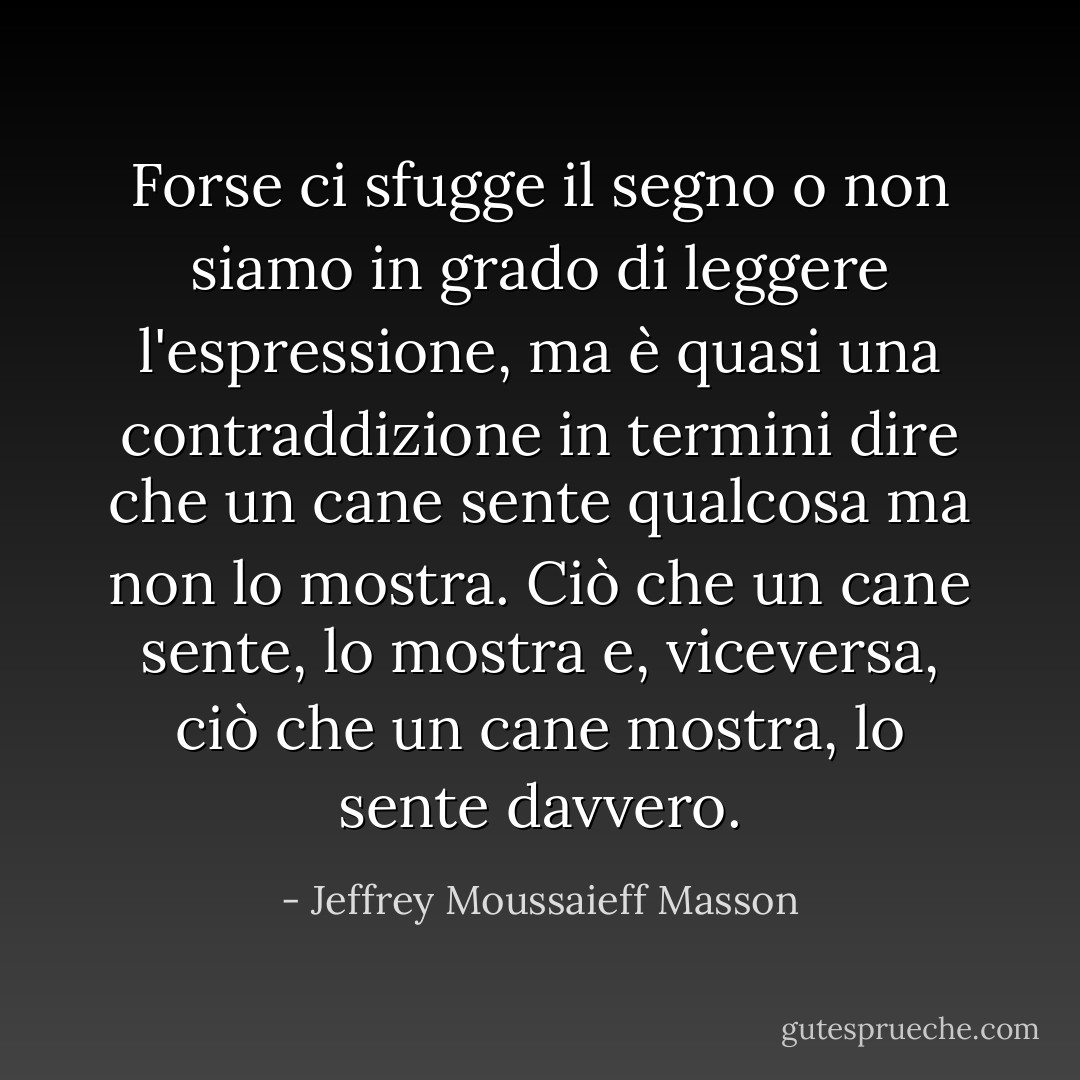 Forse ci sfugge il segno o non siamo in grado di leggere l'espressione, ma è quasi una contraddizione in termini dire che un cane sente qualcosa ma non lo mostra. Ciò che un cane sente, lo mostra e, viceversa, ciò che un cane mostra, lo sente davvero. - Jeffrey Moussaieff Masson