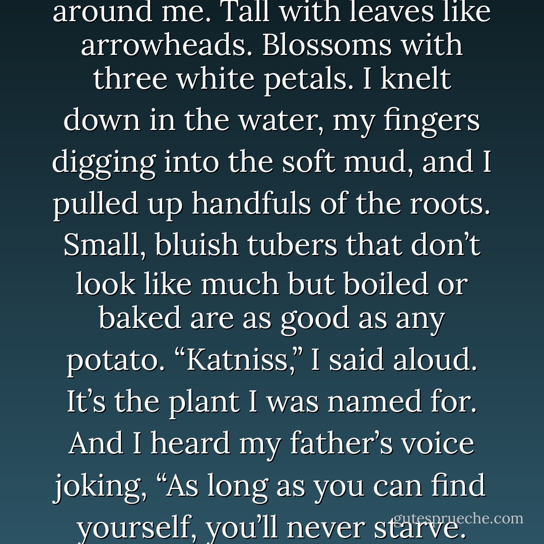 I noticed the plants growing around me. Tall with leaves like arrowheads. Blossoms with three white petals. I knelt down in the water, my fingers digging into the soft mud, and I pulled up handfuls of the roots. Small, bluish tubers that don’t look like much but boiled or baked are as good as any potato. “Katniss,” I said aloud. It’s the plant I was named for. And I heard my father’s voice joking, “As long as you can find yourself, you’ll never starve. - Suzanne Collins