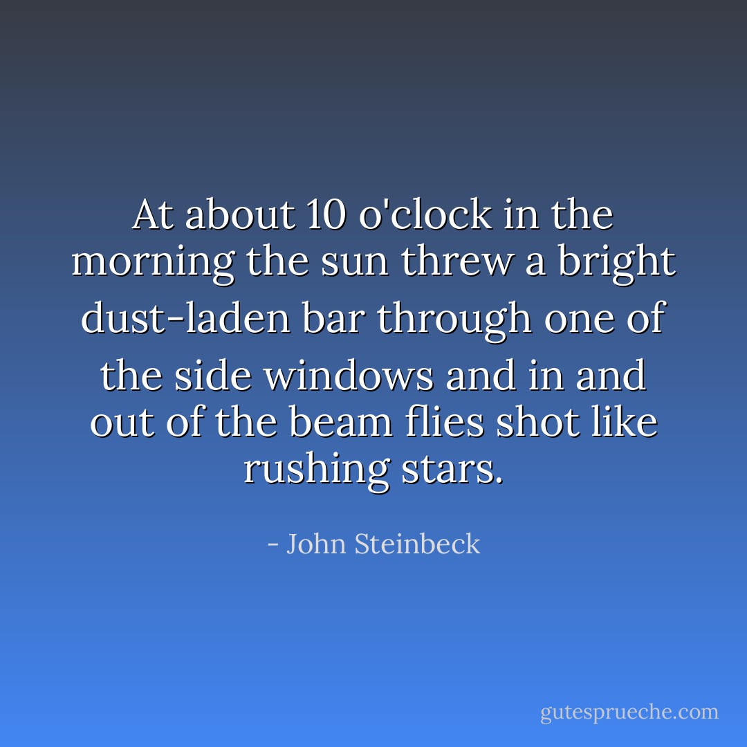 At about 10 o'clock in the morning the sun threw a bright dust-laden bar through one of the side windows and in and out of the beam flies shot like rushing stars. - John Steinbeck