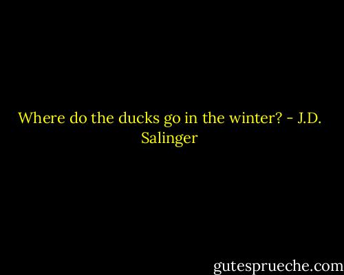 Where do the ducks go in the winter? - J.D. Salinger