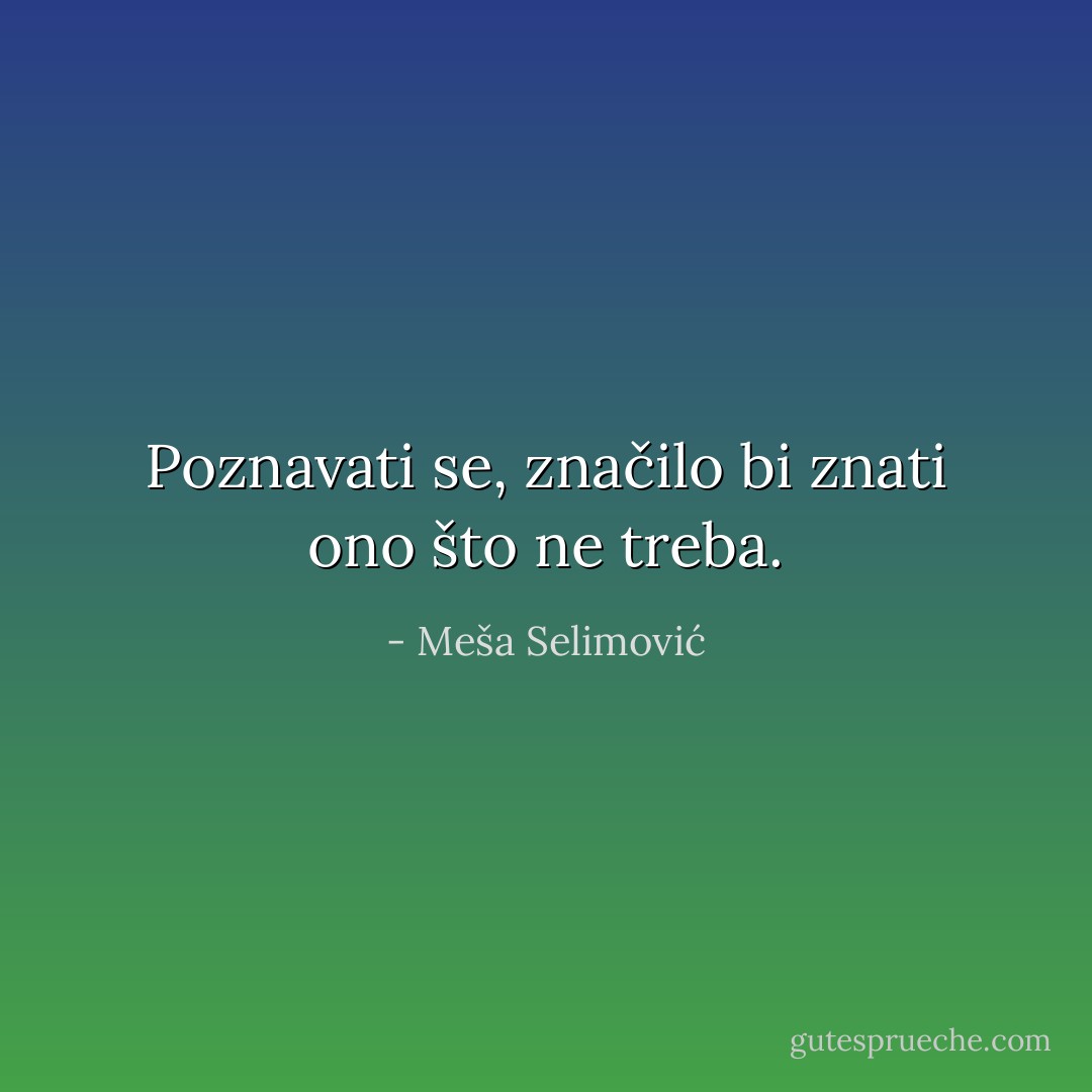 Poznavati se, značilo bi znati ono što ne treba. - Meša Selimović
