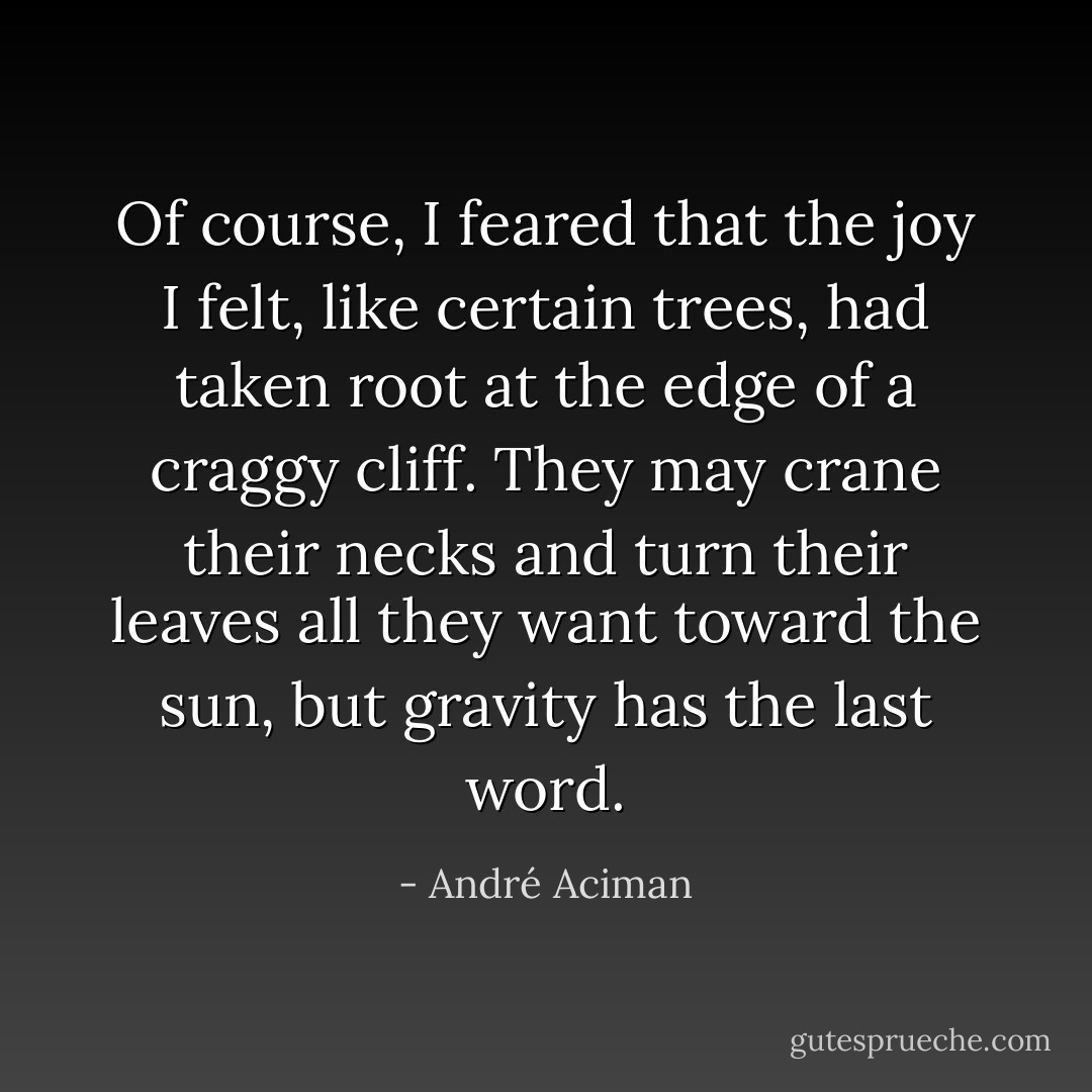 Of course, I feared that the joy I felt, like certain trees, had taken root at the edge of a craggy cliff. They may crane their necks and turn their leaves all they want toward the sun, but gravity has the last word. - André Aciman