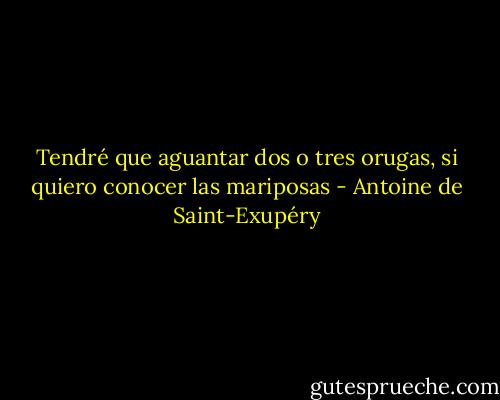 Tendré que aguantar dos o tres orugas, si quiero conocer las mariposas - Antoine de Saint-Exupéry