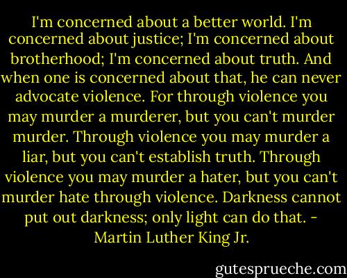I'm concerned about a better world. I'm concerned about justice; I'm concerned about brotherhood; I'm concerned about truth. And when one is concerned about that, he can never advocate violence. For through violence you may murder a murderer, but you can't murder murder. Through violence you may murder a liar, but you can't establish truth. Through violence you may murder a hater, but you can't murder hate through violence. Darkness cannot put out darkness; only light can do that. - Martin Luther King Jr.