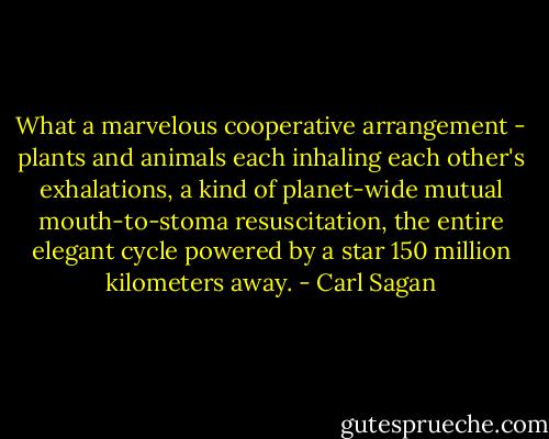 What a marvelous cooperative arrangement - plants and animals each inhaling each other's exhalations, a kind of planet-wide mutual mouth-to-stoma resuscitation, the entire elegant cycle powered by a star 150 million kilometers away. - Carl Sagan