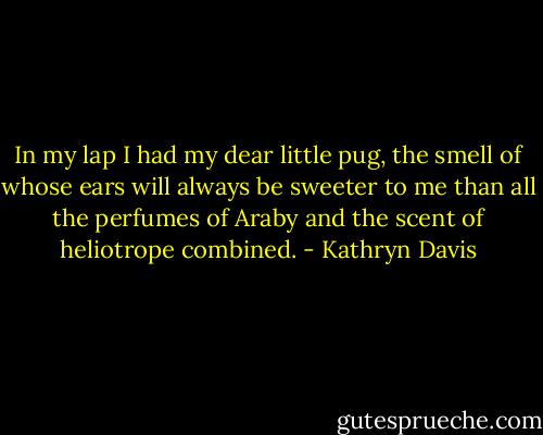In my lap I had my dear little pug, the smell of whose ears will always be sweeter to me than all the perfumes of Araby and the scent of heliotrope combined. - Kathryn Davis