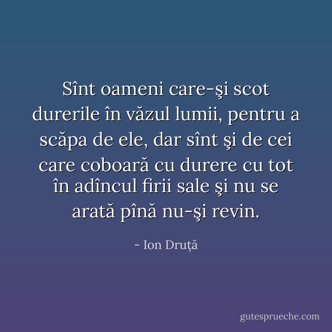 Sînt oameni care-şi scot durerile în văzul lumii, pentru a scăpa de ele, dar sînt şi de cei care coboară cu durere cu tot în adîncul firii sale şi nu se arată pînă nu-şi revin. - Ion Druță