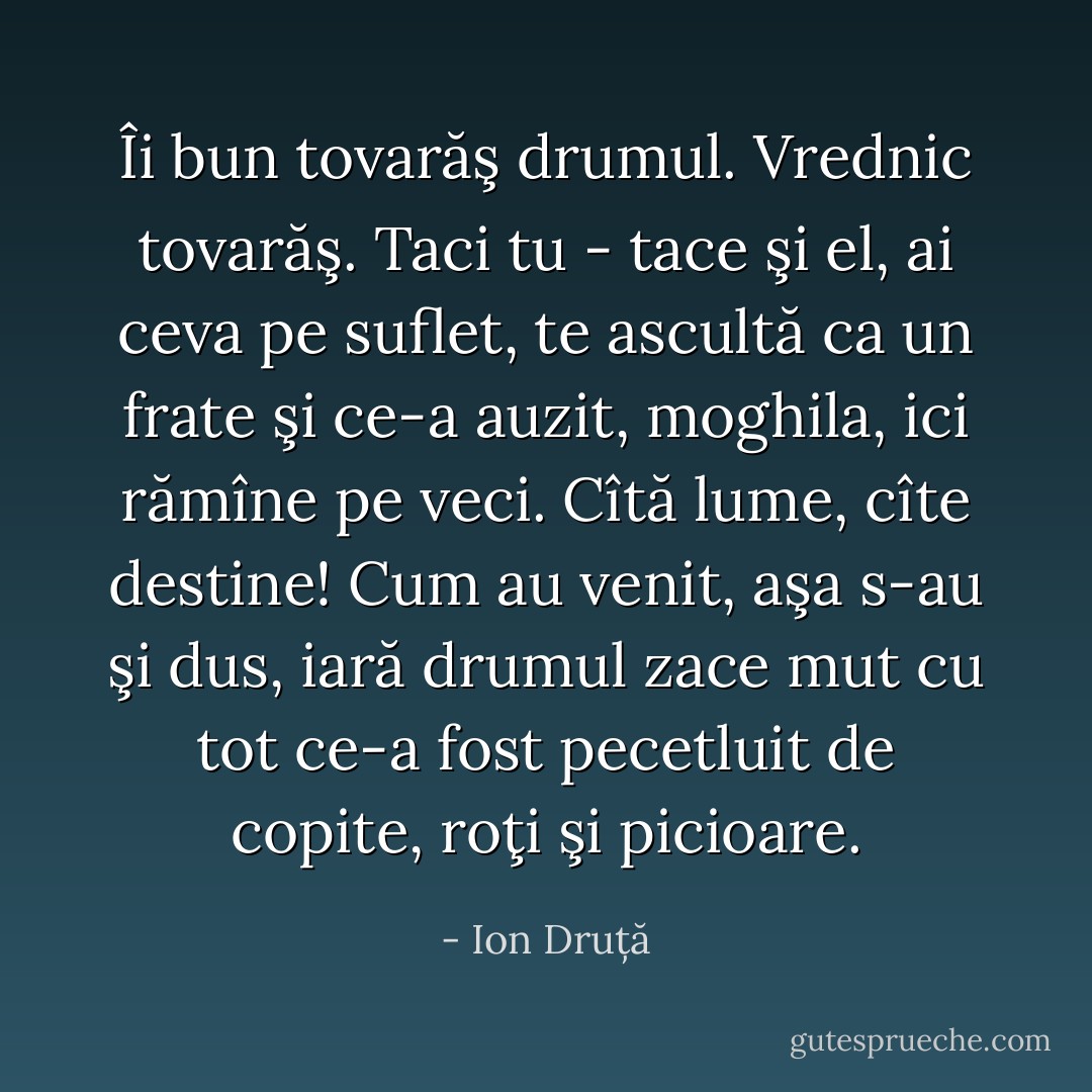 Îi bun tovarăş drumul. Vrednic tovarăş. Taci tu - tace şi el, ai ceva pe suflet, te ascultă ca un frate şi ce-a auzit, <i>moghila</i>, ici rămîne pe veci. Cîtă lume, cîte destine! Cum au venit, aşa s-au şi dus, iară drumul zace mut cu tot ce-a fost pecetluit de copite, roţi şi picioare. - Ion Druță