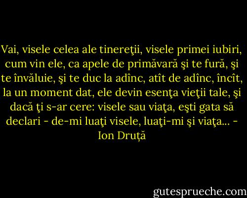 Vai, visele celea ale tinereţii, visele primei iubiri, cum vin ele, ca apele de primăvară şi te fură, şi te învăluie, şi te duc la adînc, atît de adînc, încît, la un moment dat, ele devin esenţa vieţii tale, şi dacă ţi s-ar cere: visele sau viaţa, eşti gata să declari - de-mi luaţi visele, luaţi-mi şi viaţa... - Ion Druță