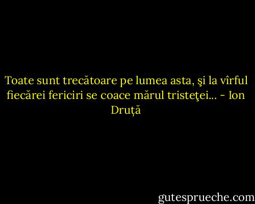 Toate sunt trecătoare pe lumea asta, şi la vîrful fiecărei fericiri se coace mărul tristeţei... - Ion Druță